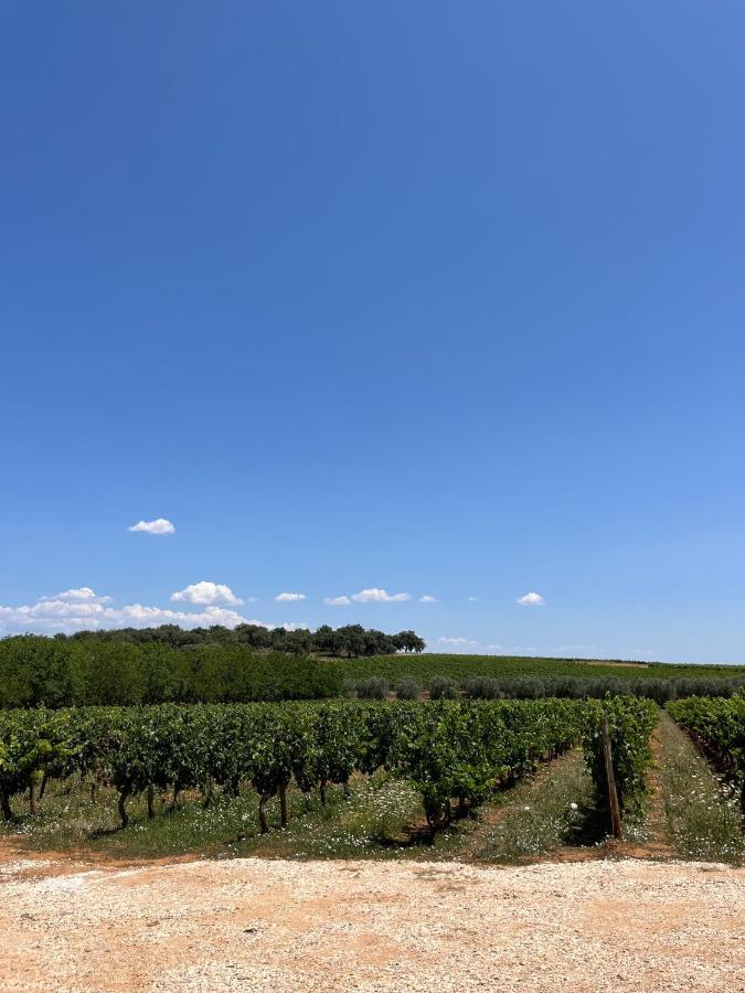Horta Do Monte Villa Estremoz Kültér fotó