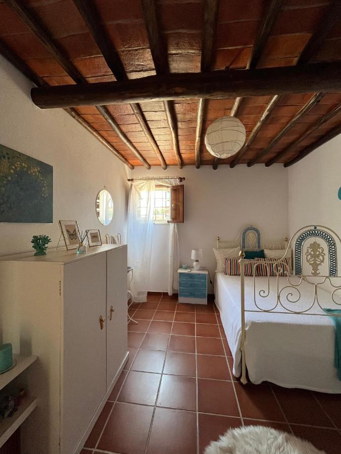 Horta Do Monte Villa Estremoz Kültér fotó