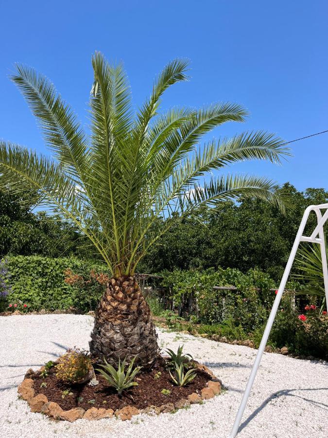 Horta Do Monte Villa Estremoz Kültér fotó